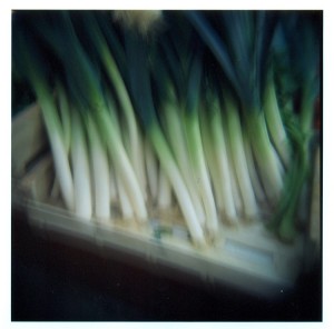 leeks.d