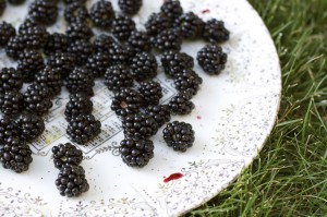 berry plate